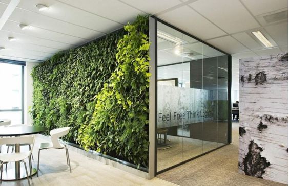Biophilic Design