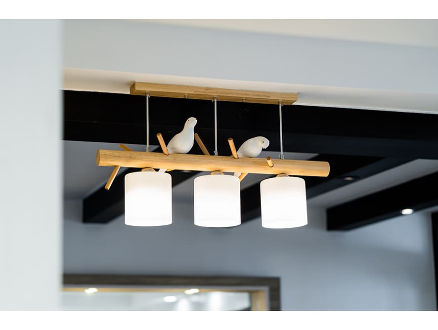 Statement Lighting